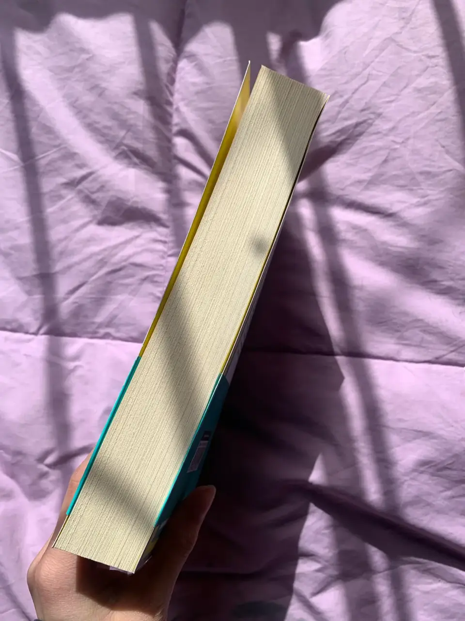 Libro 'La pluralidad del mundo' Hannah Arendt - miniatura 2