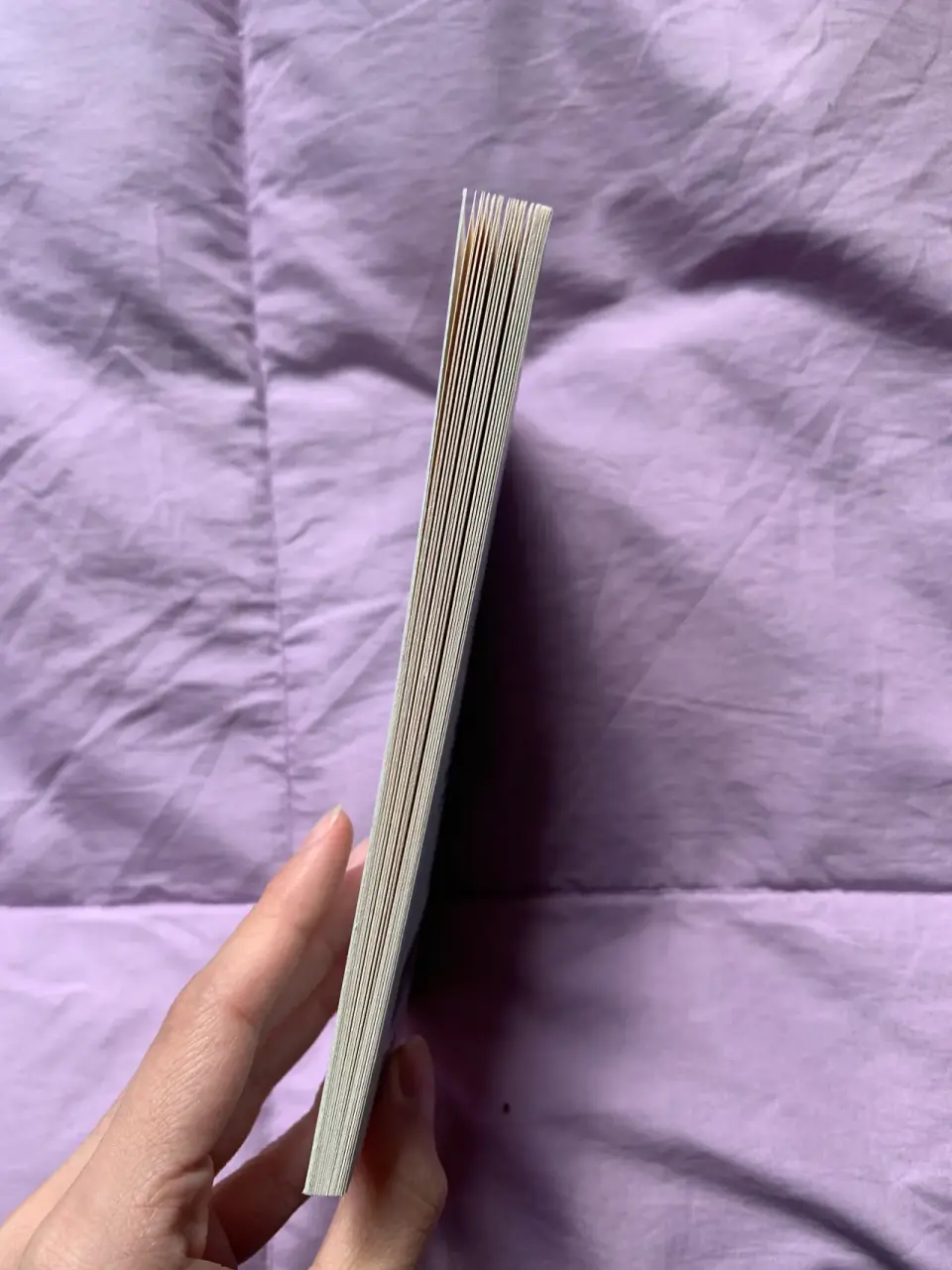 Libro 'Daydream and Drunkenness' Clarice Lispector - miniatura 3