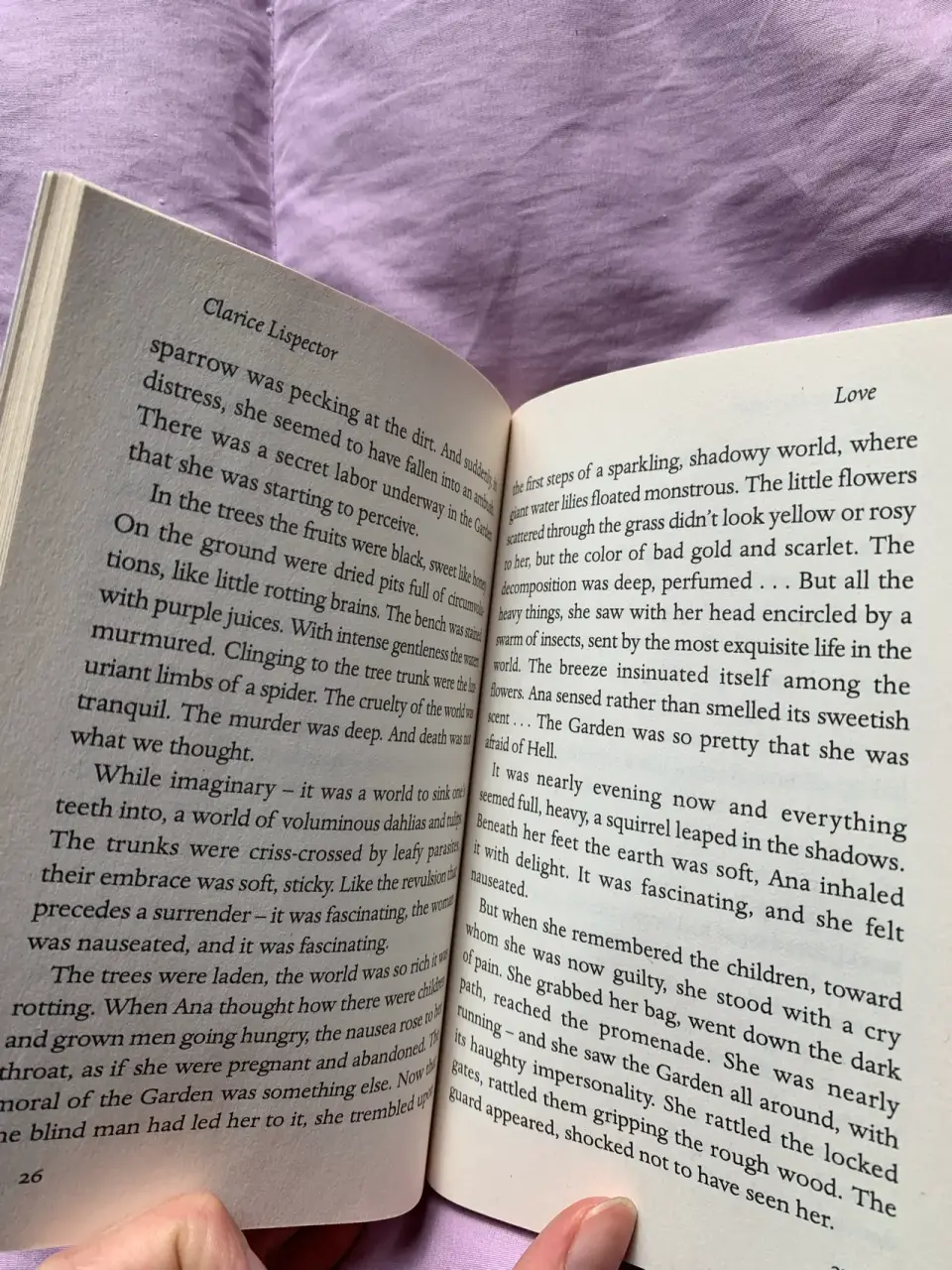 Libro 'Daydream and Drunkenness' Clarice Lispector - miniatura 4