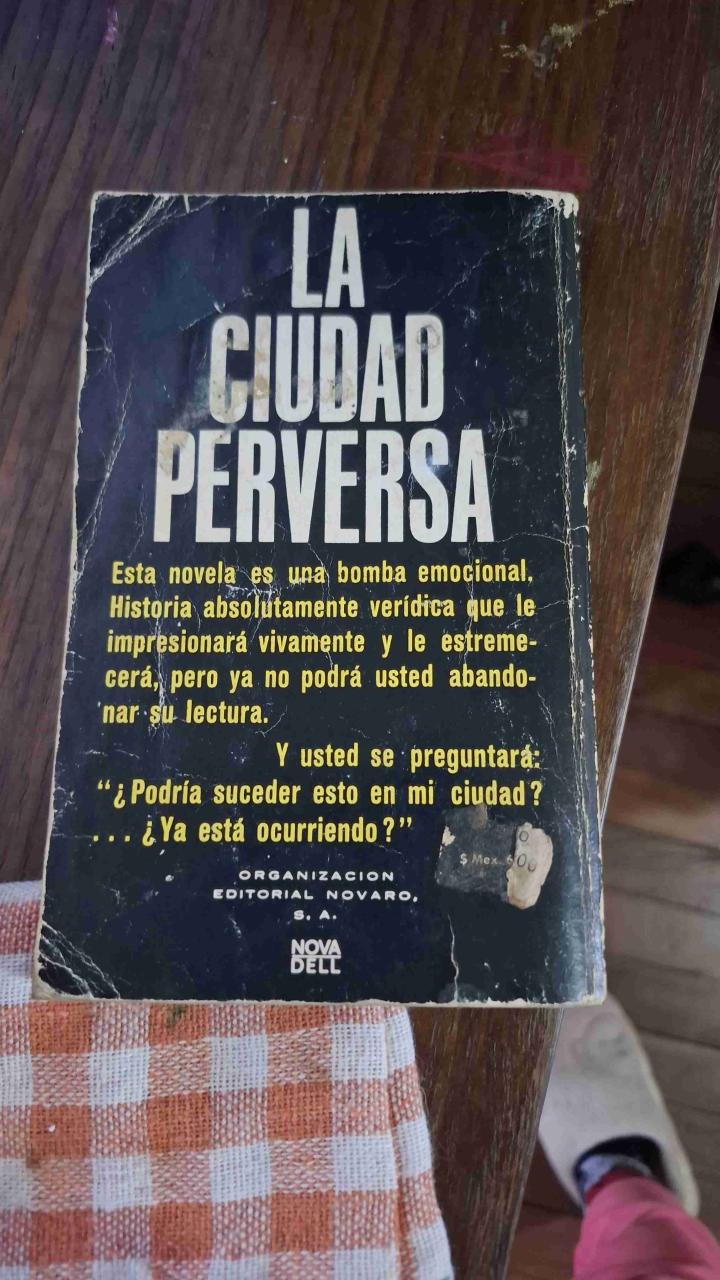 Novela 'La Ciudad Perversa' - miniatura 2