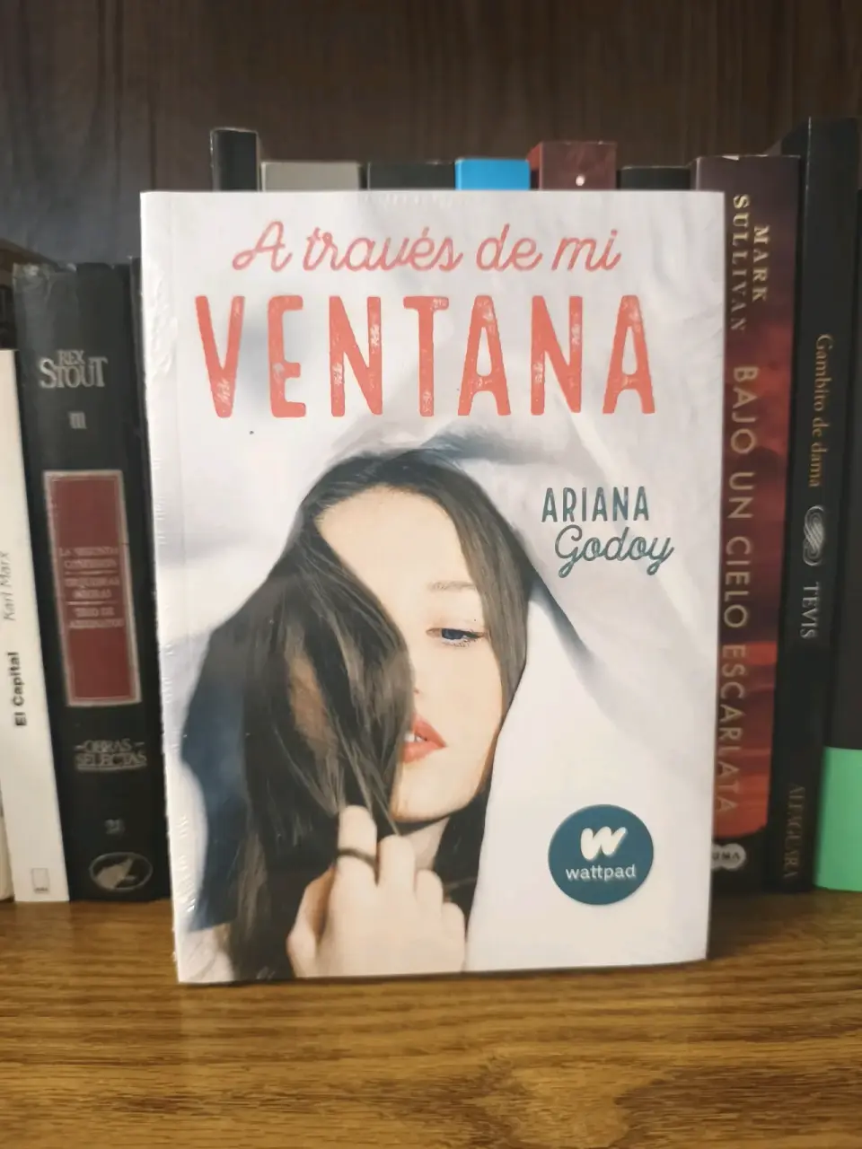Libro 'A través de mi ventana'