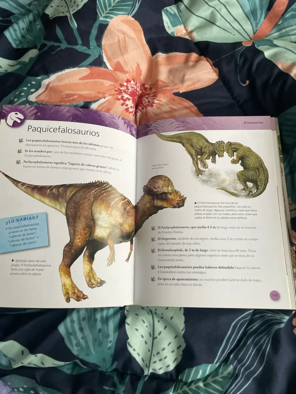 Enciclopedia de los Dinosaurios - miniatura 2