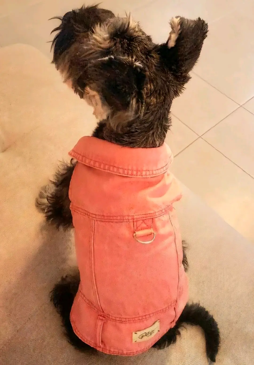Arnés/Chaqueta Mezclilla Rosa c/Hebilla, Perritos - miniatura 2