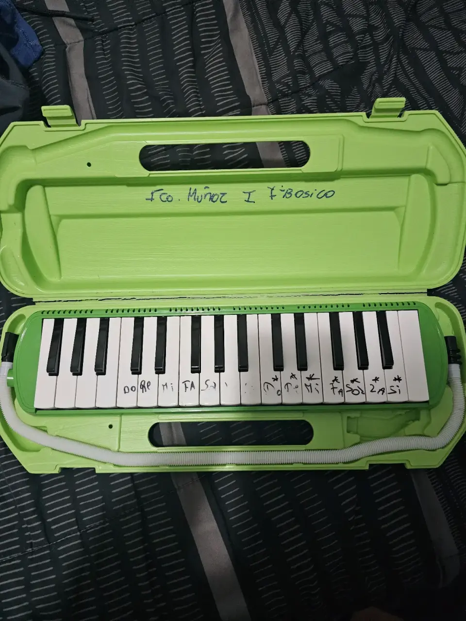 Melódica verde con estuche - miniatura 1