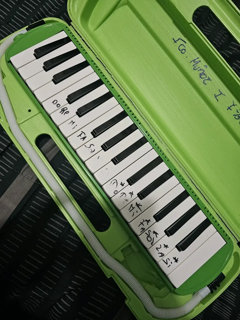 Melódica verde con estuche - miniatura 2