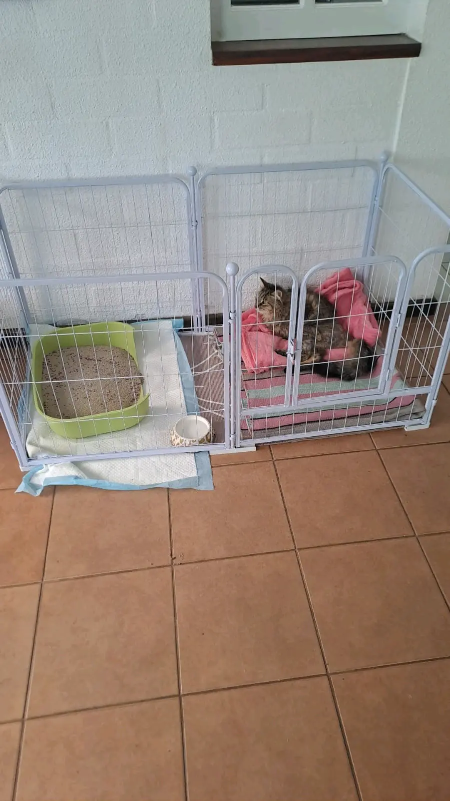 Corral  para mascotas - miniatura 2