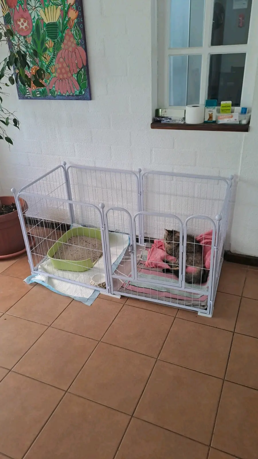 Corral  para mascotas - miniatura 3