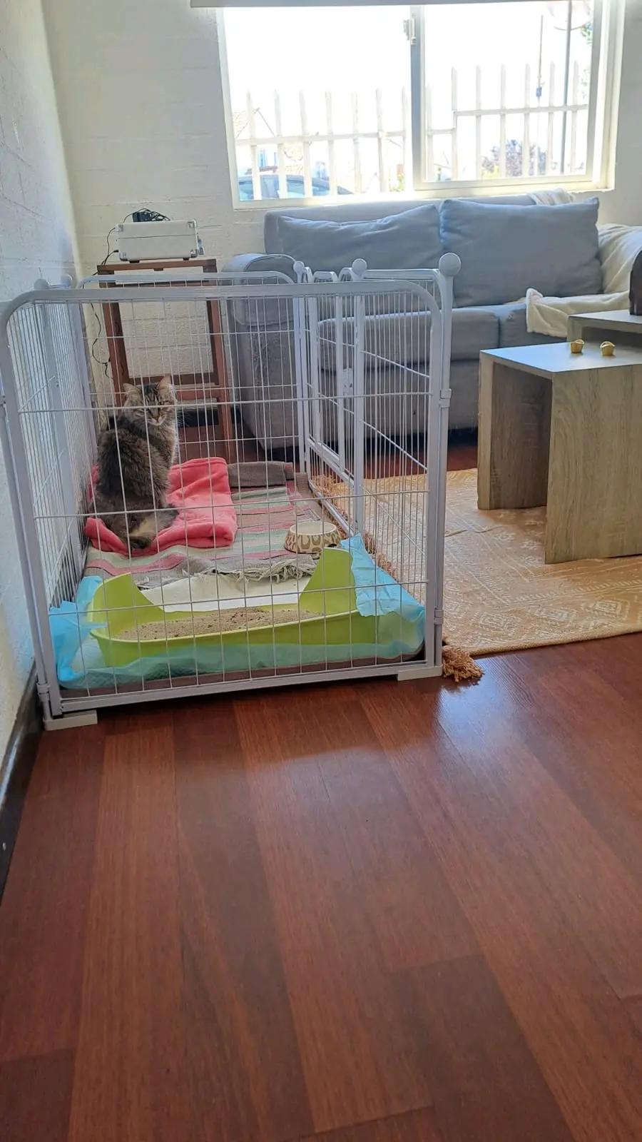 Corral  para mascotas - miniatura 4