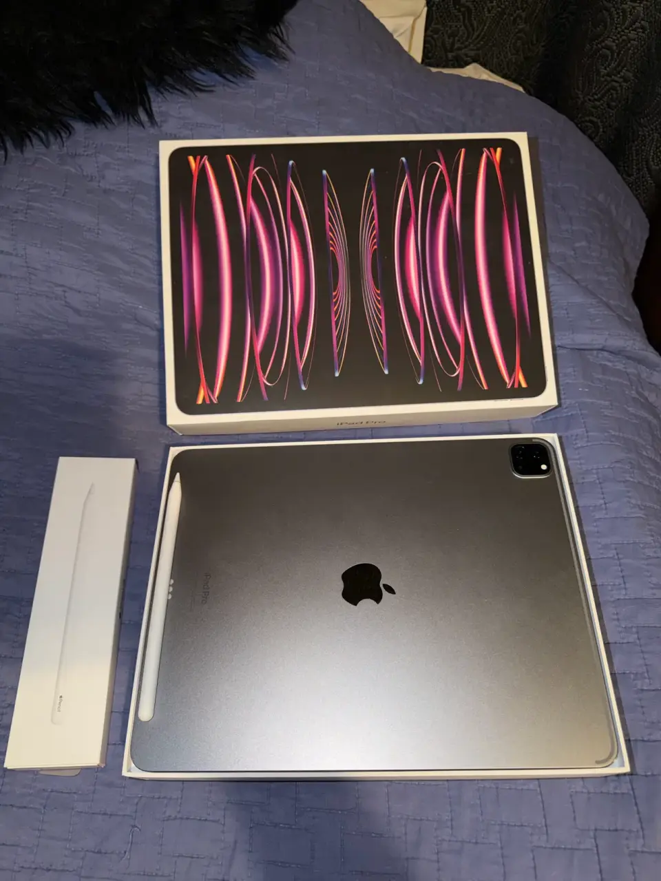 Ipad 12.9 6ta gen + apple pencil 2 - miniatura 1