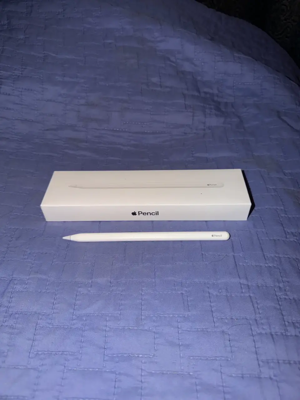 Ipad 12.9 6ta gen + apple pencil 2 - miniatura 4