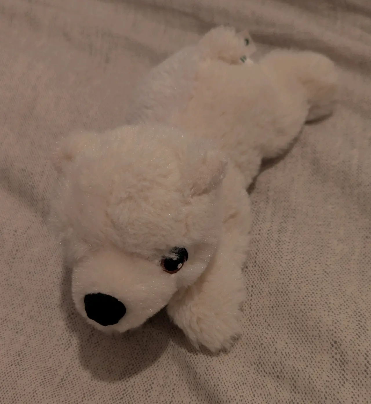 Peluche oso polar blanco Buinzoo 20 cms - miniatura 1