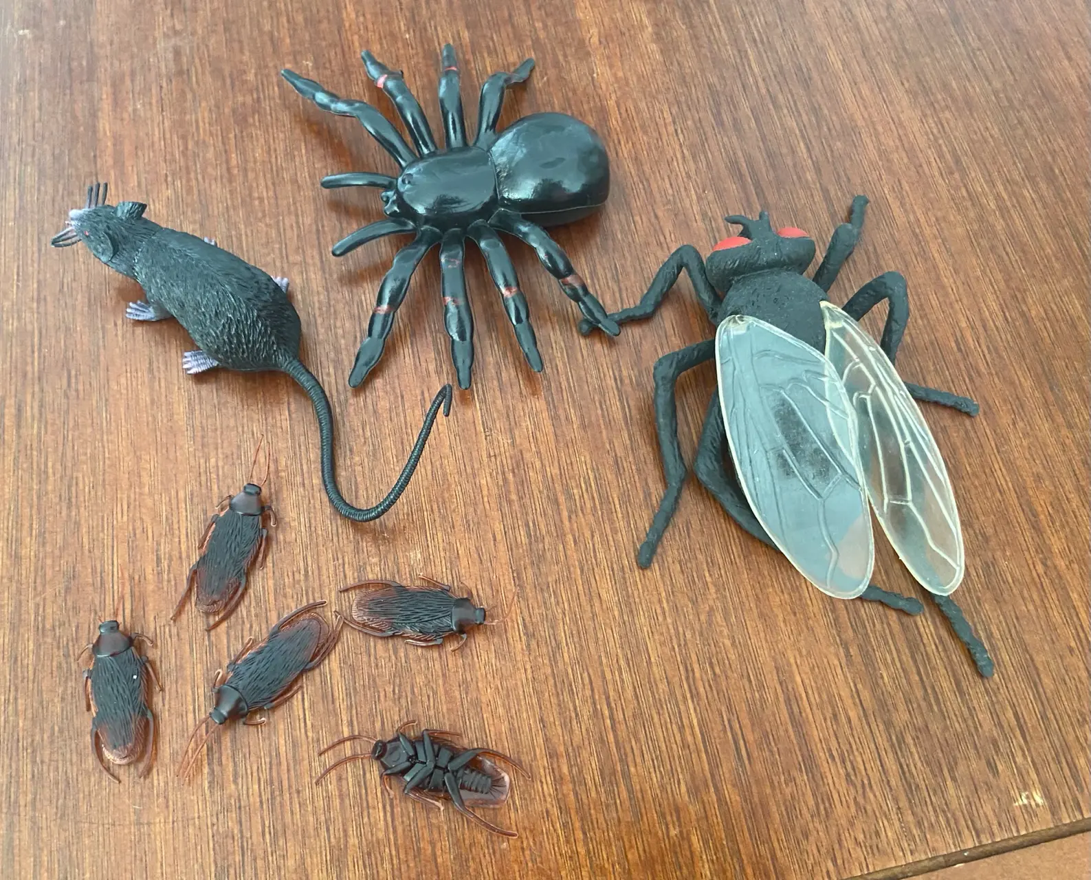 Bromas de insectos roedor - miniatura 2
