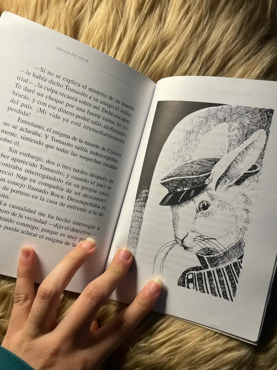 Libro El Crimen de la Calle Bambi - miniatura 2