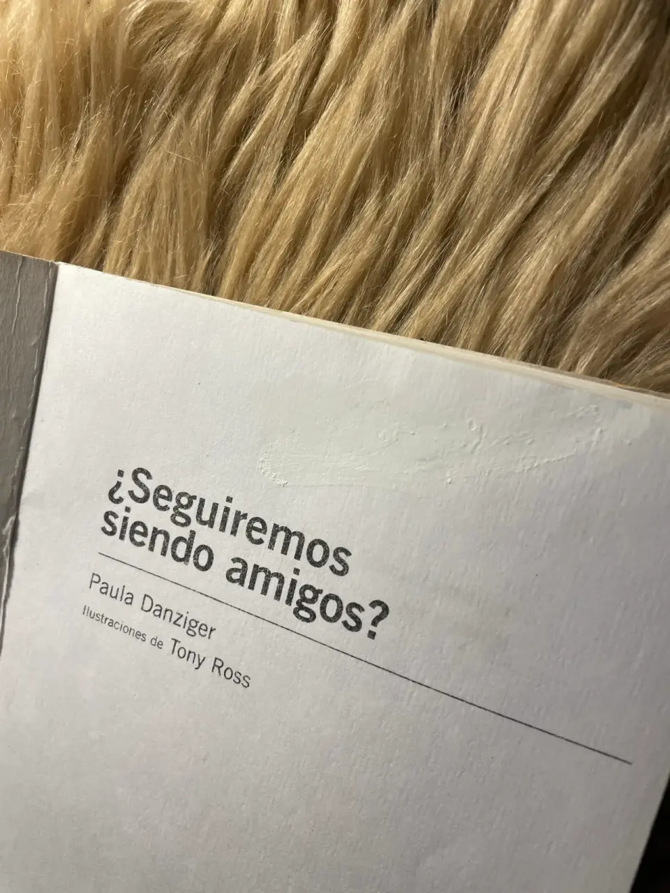 Libro ¿Seguiremos siendo amigos? - miniatura 2