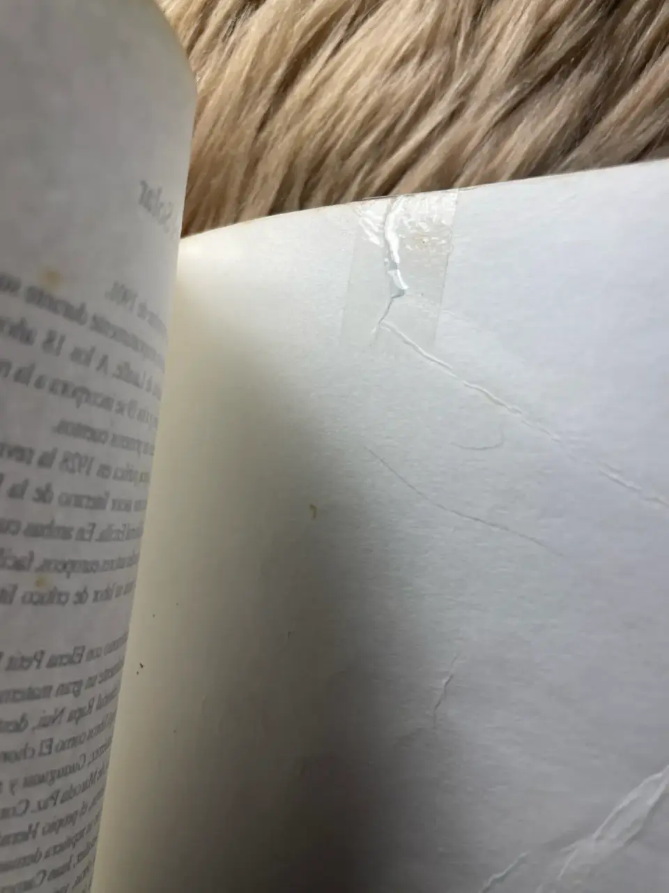 Libro infantil 'La Porota' - miniatura 3