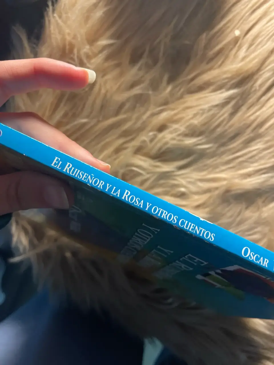 Libro El Ruiseñor y la Rosa - miniatura 4