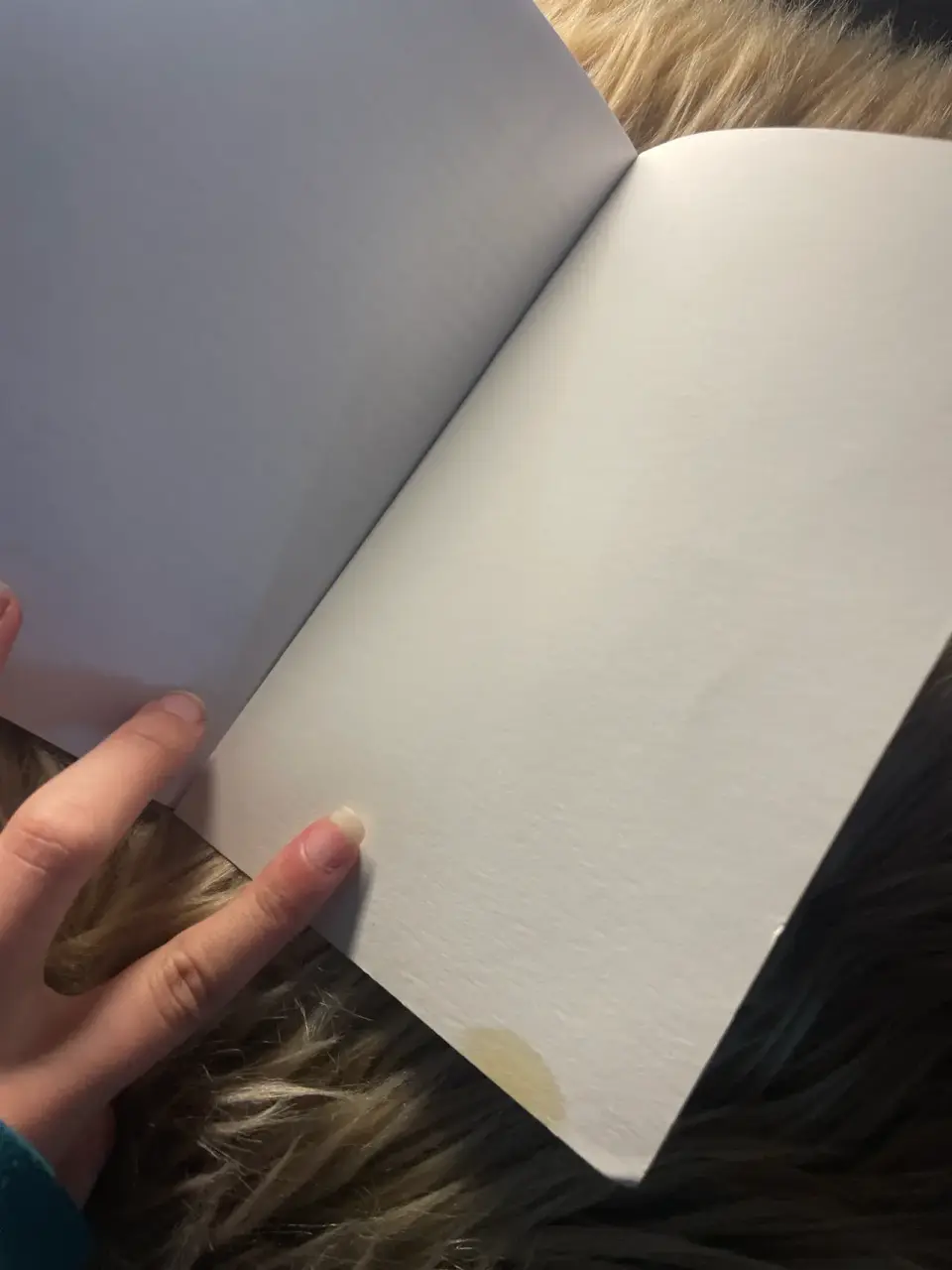 Libro El Príncipe y el Mendigo - miniatura 2