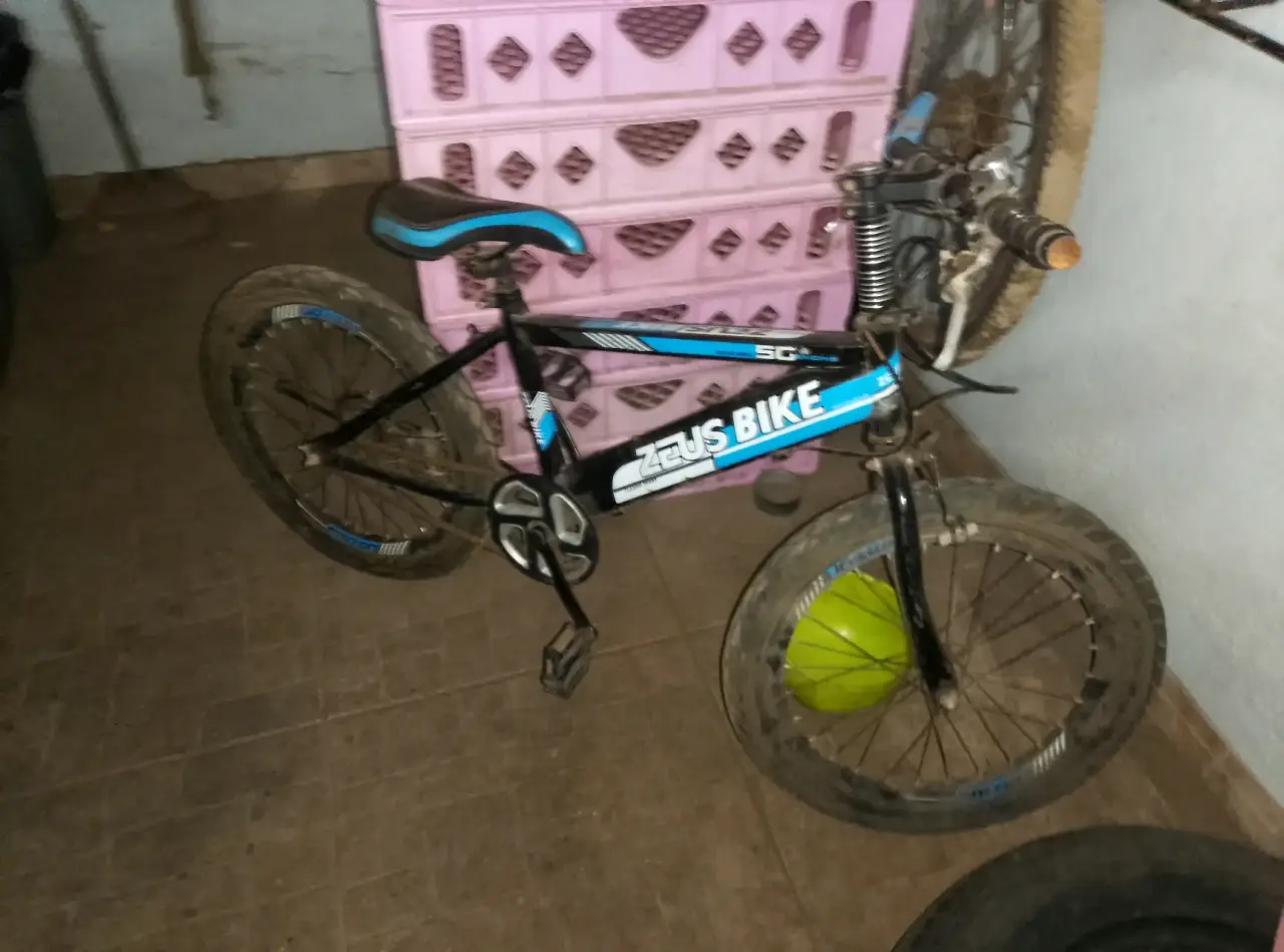Bicicleta Zeus negra y azul - miniatura 1