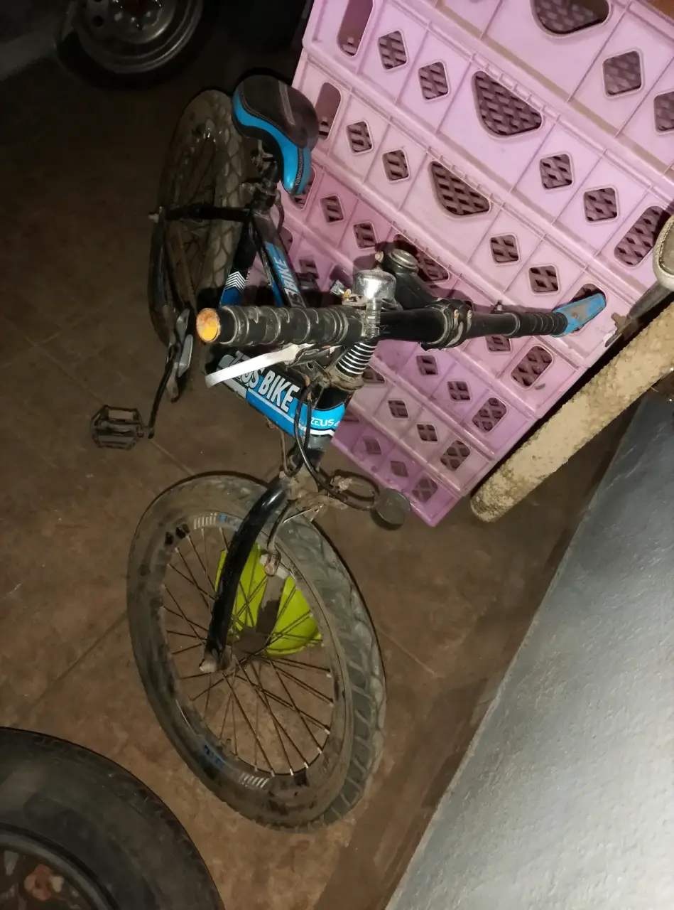Bicicleta Zeus negra y azul - miniatura 2