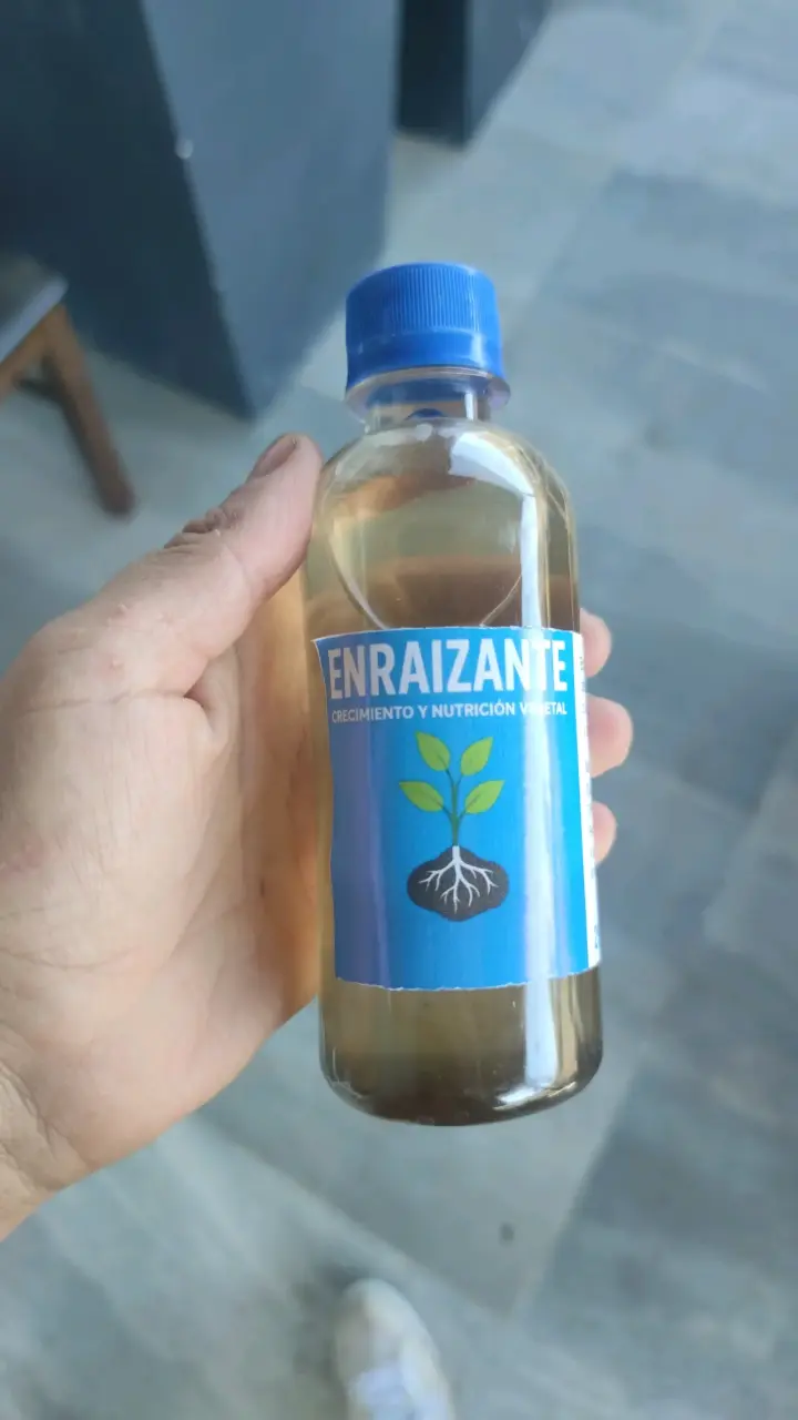 Enraizante para plantas 250ml