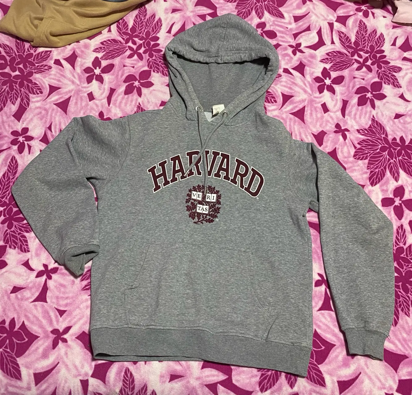 Polerón con capucha Harvard gris