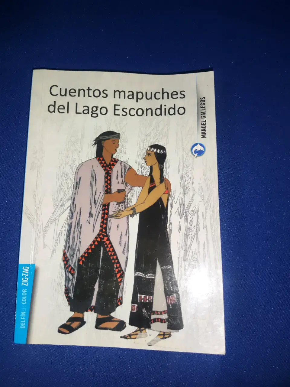 Libro Cuentos Mapuches del Lago Escondido - miniatura 1