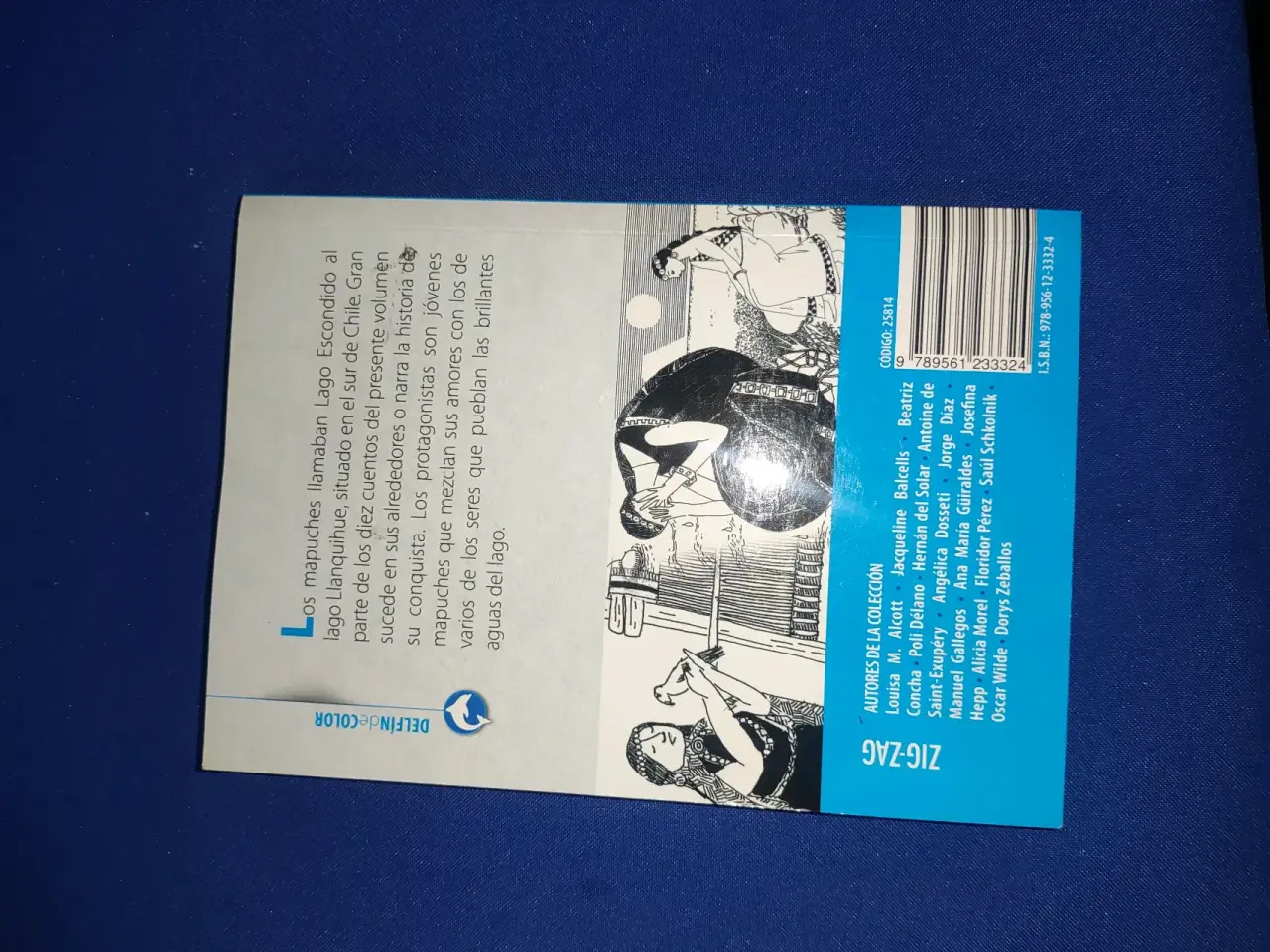 Libro Cuentos Mapuches del Lago Escondido - miniatura 2