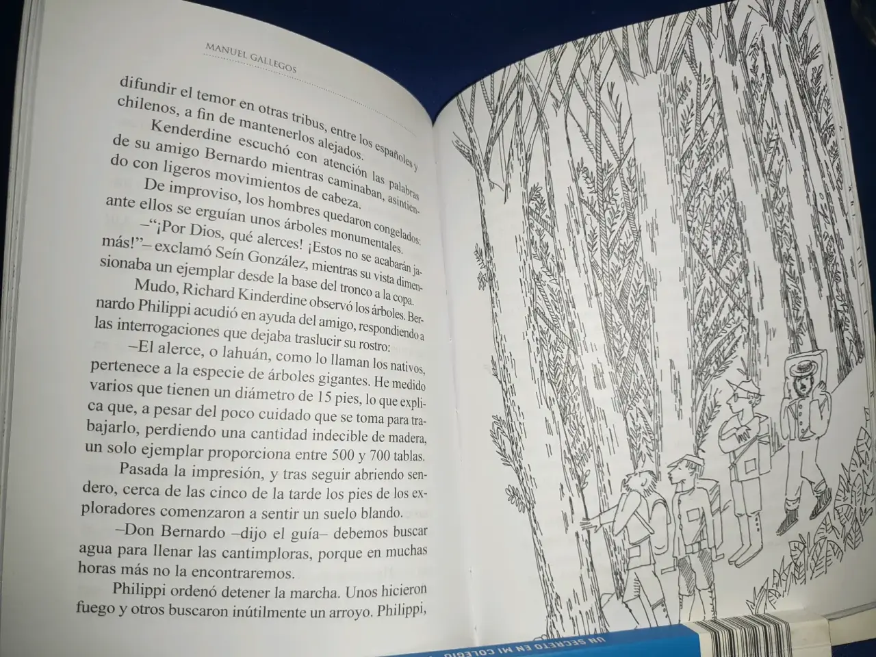 Libro Cuentos Mapuches del Lago Escondido - miniatura 3