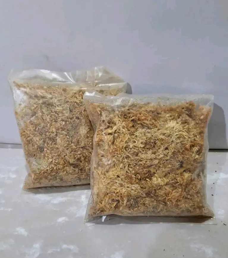 Musgo Sphagnum deshidratado
