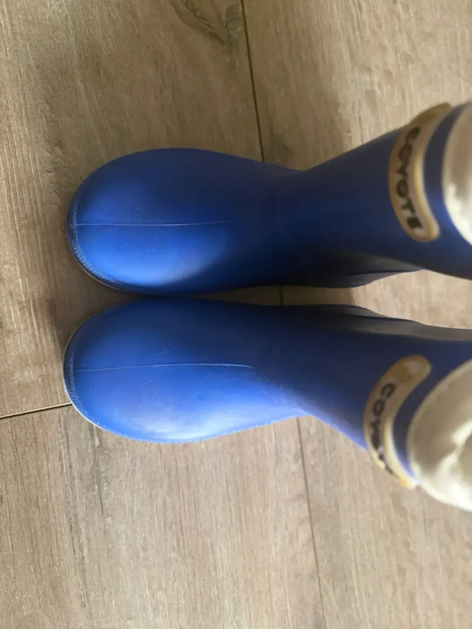 Botas de agua con forro Coyote/ T26 - miniatura 4