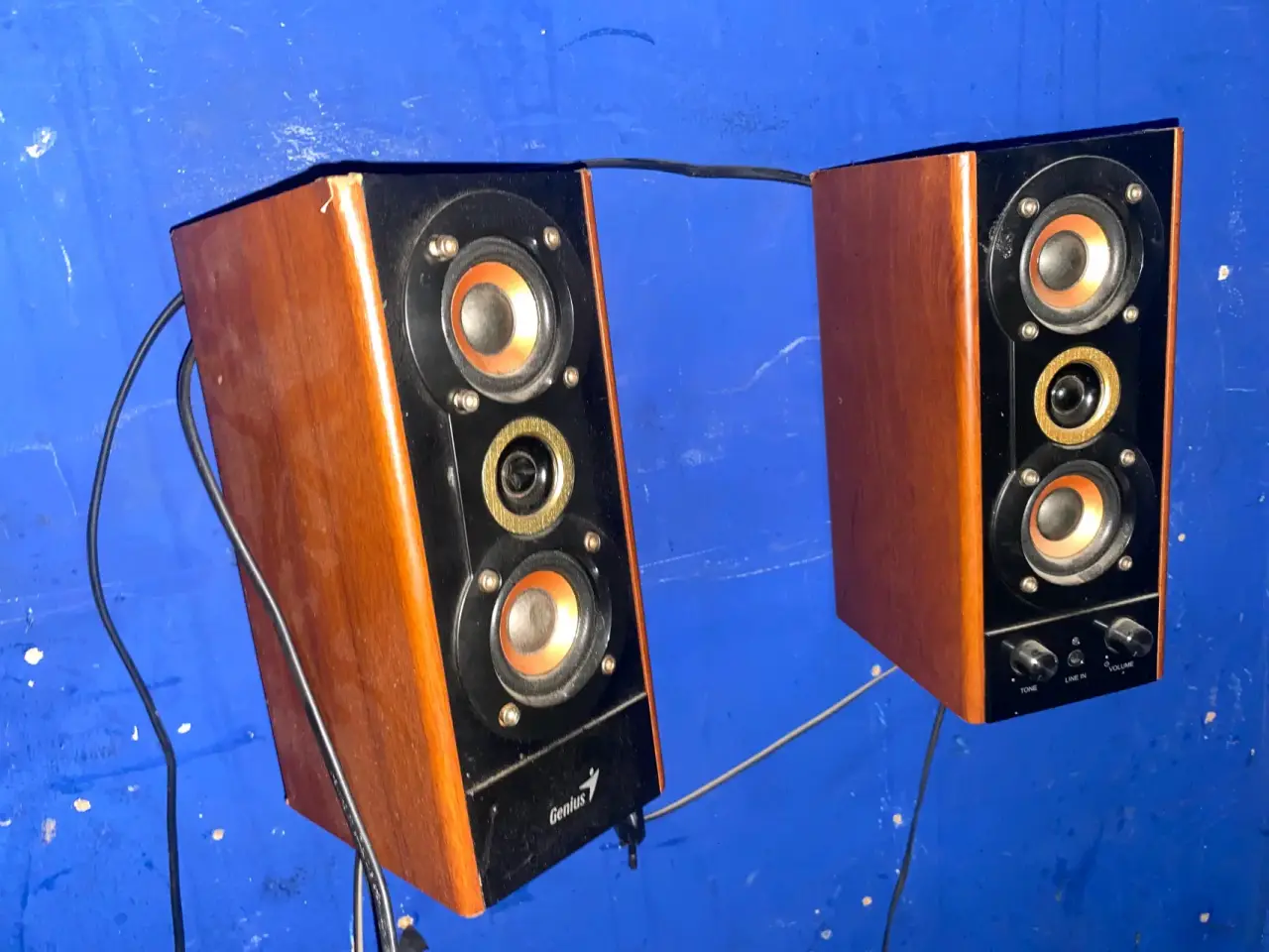 Parlantes Genius de madera - miniatura 1