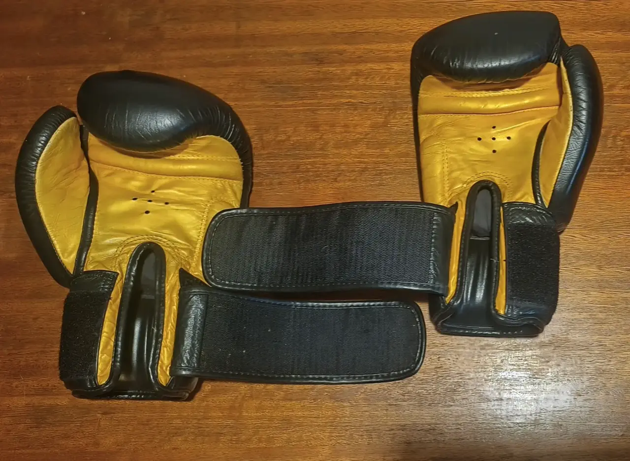 Guantes de boxeo Fairtex - miniatura 3