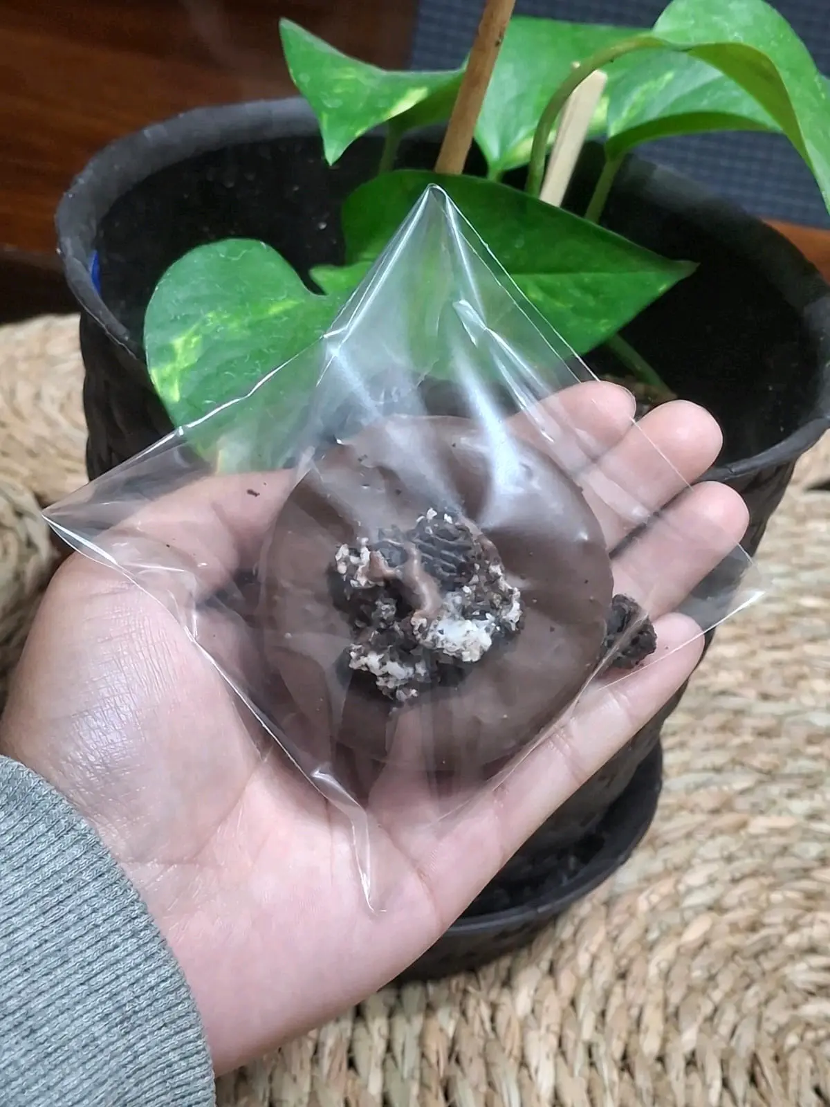 Cuchuflis Rellenos de chocolate artesanales - miniatura 3