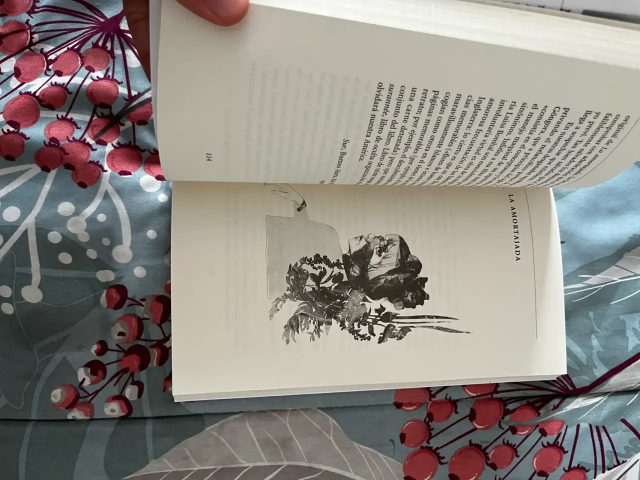 Libro 'La última niebla' y 'La amortajada' - miniatura 6