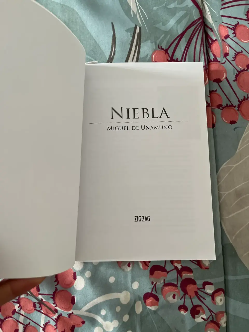 Libro 'Niebla' Miguel de Unamuno - miniatura 3