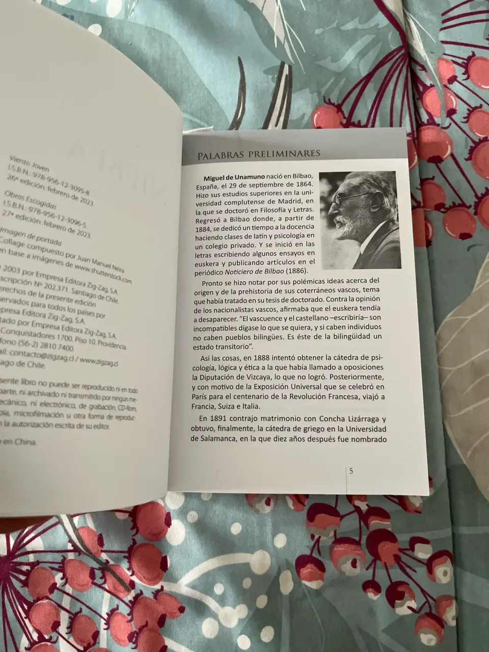 Libro 'Niebla' Miguel de Unamuno - miniatura 4