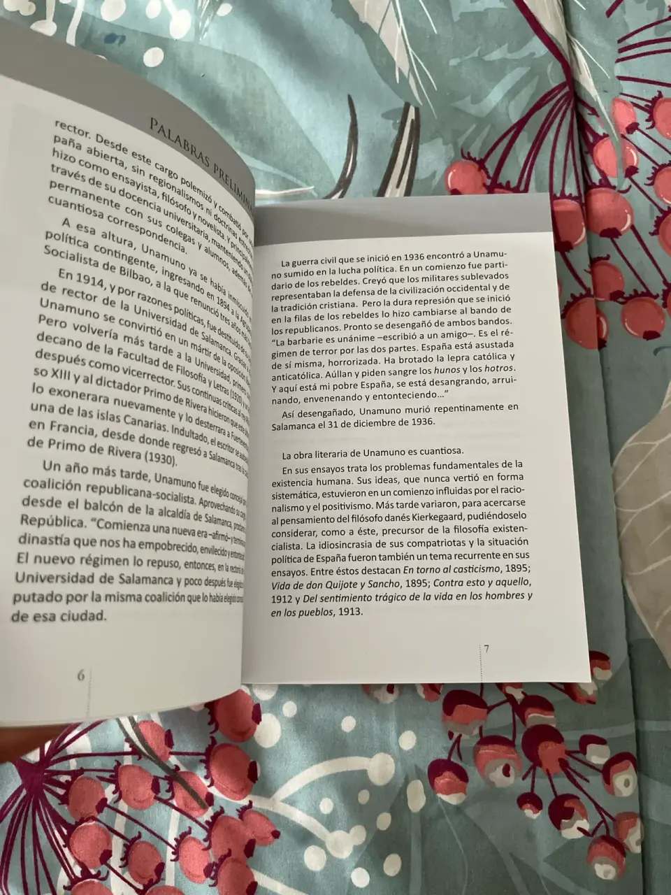 Libro 'Niebla' Miguel de Unamuno - miniatura 5
