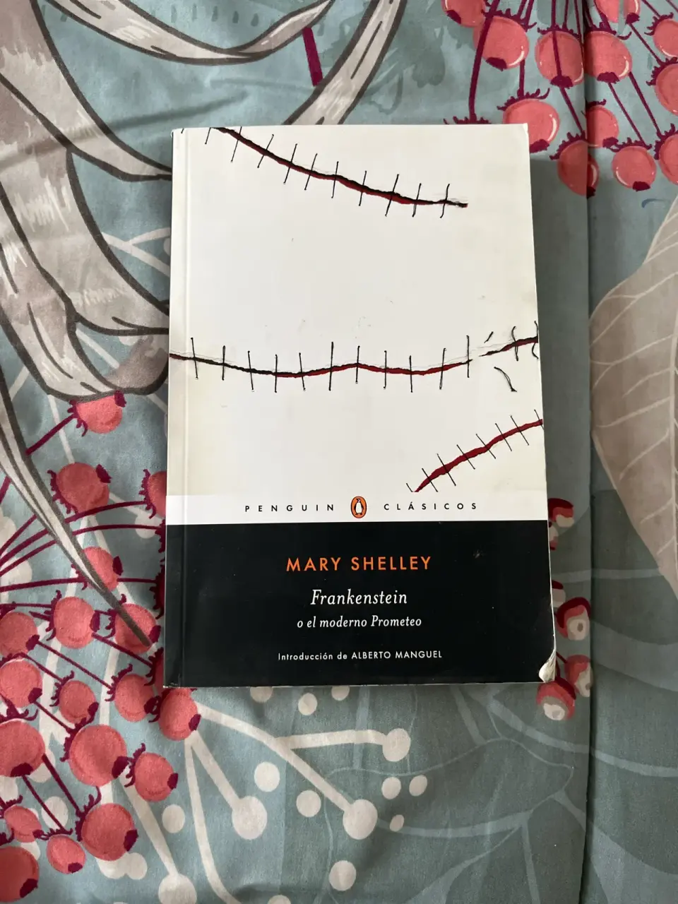 Libro Frankenstein de Mary Shelley - miniatura 1