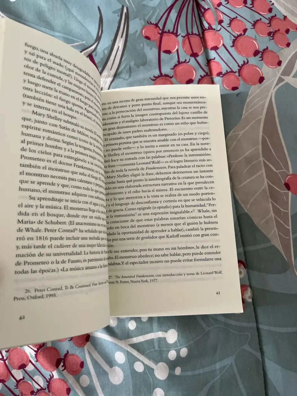 Libro Frankenstein de Mary Shelley - miniatura 5