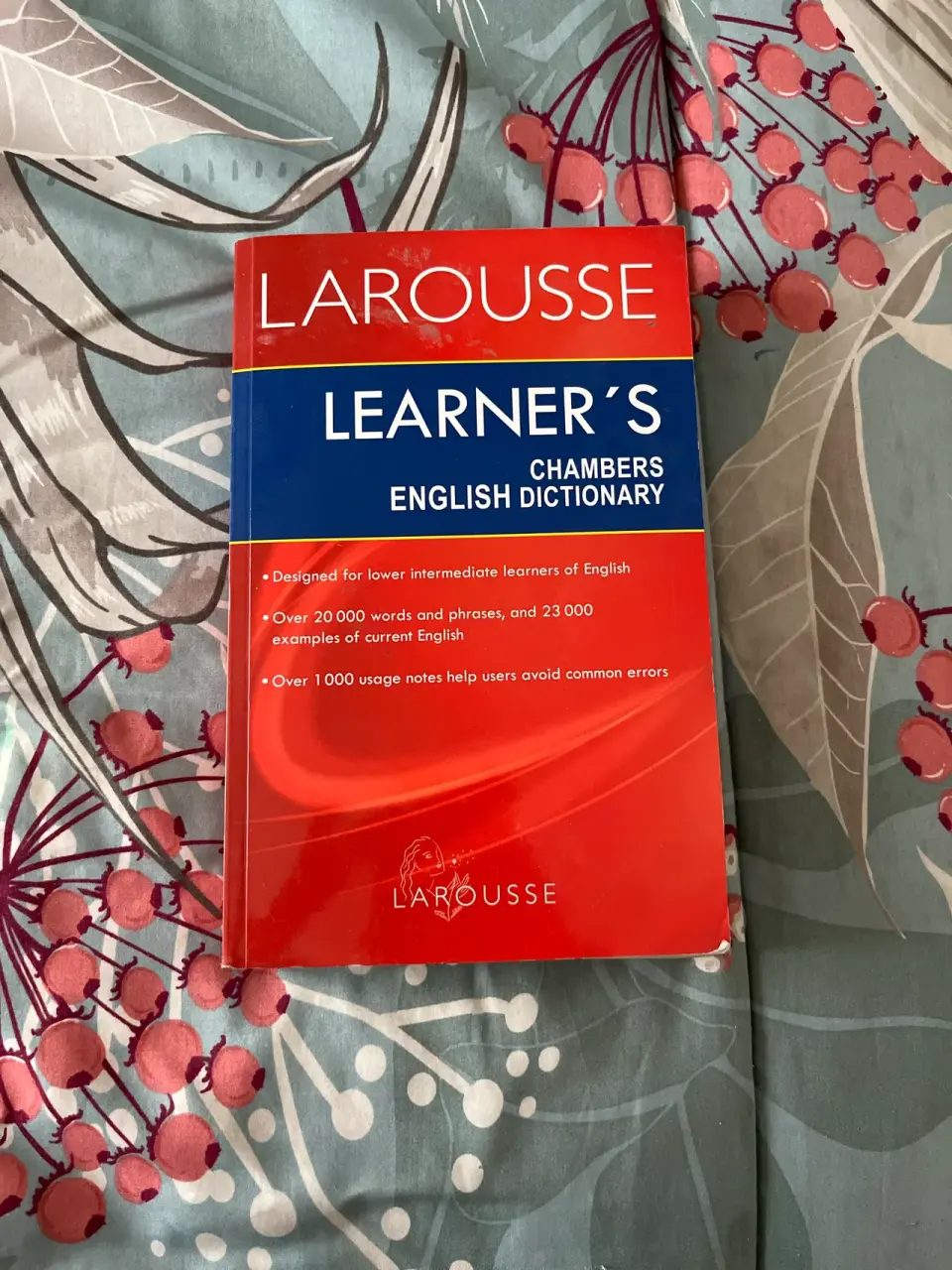 Diccionario Larousse inglés - miniatura 1