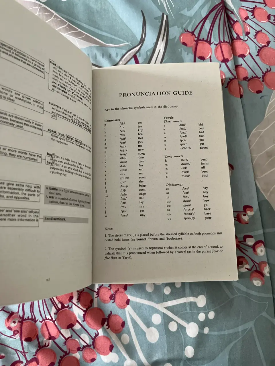 Diccionario Larousse inglés - miniatura 5