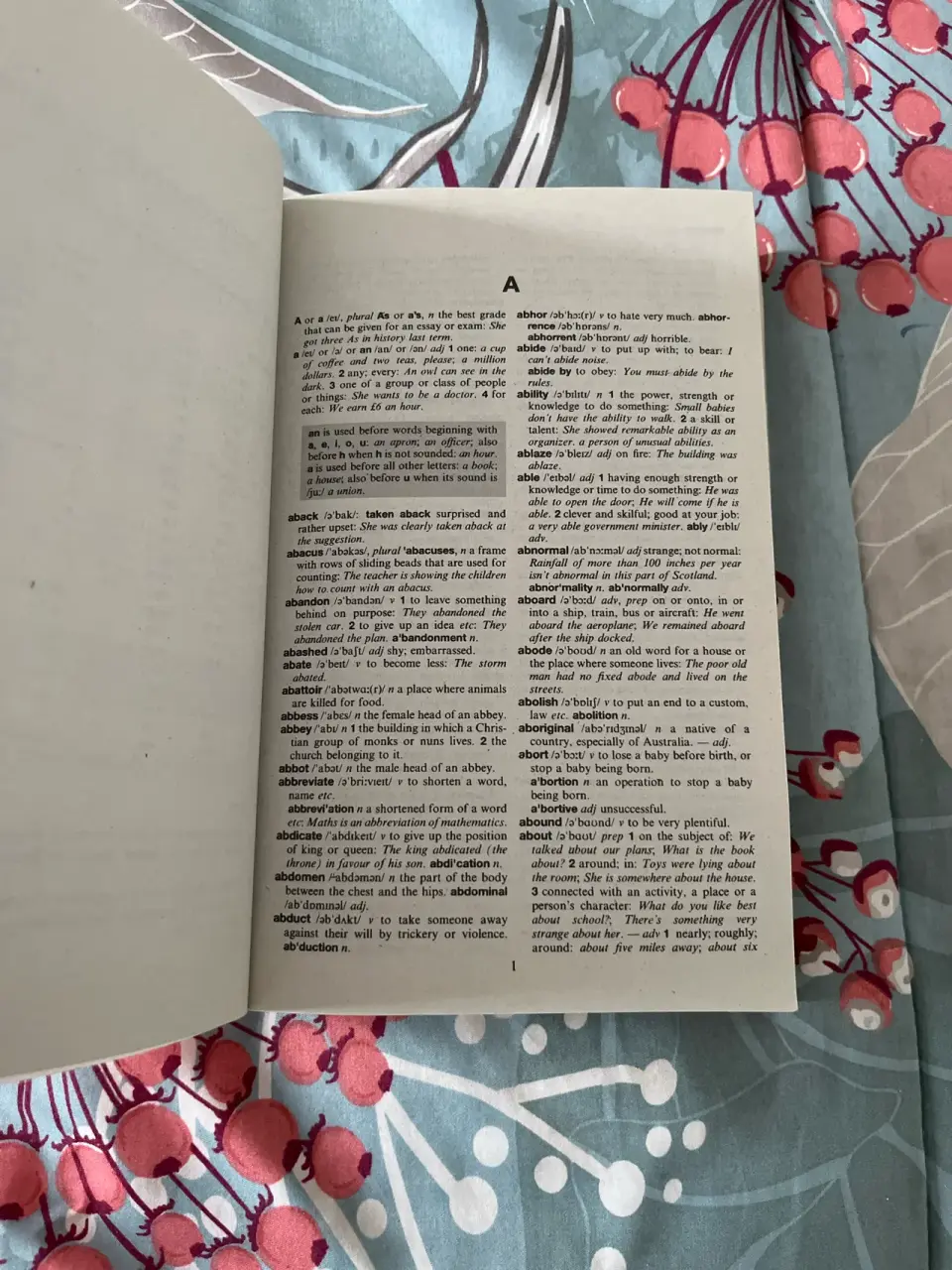 Diccionario Larousse inglés - miniatura 6