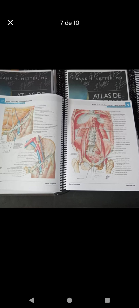 Netter Atlas de Anatomía Humana - miniatura 2