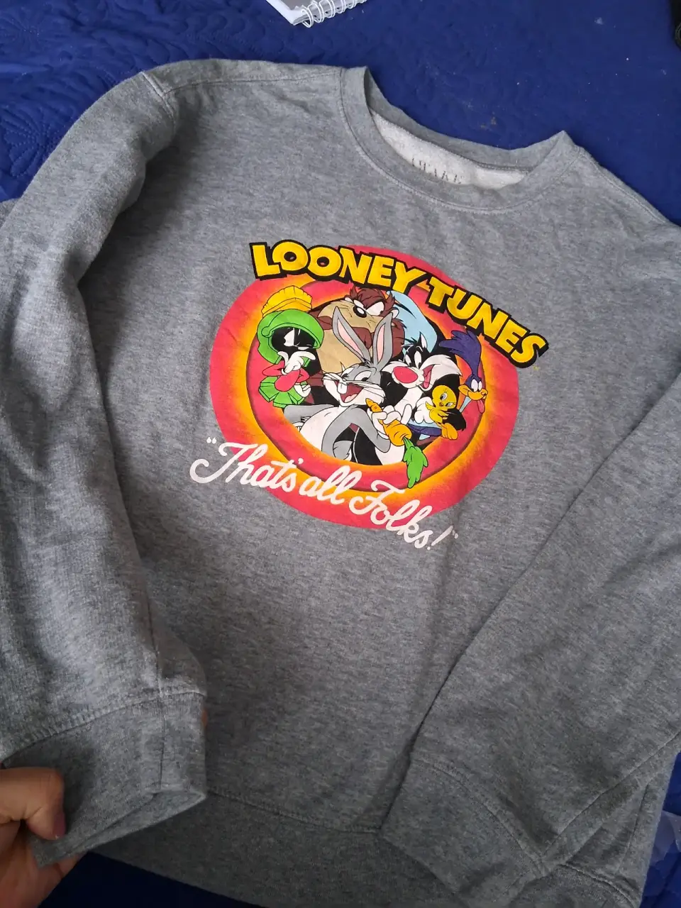 Polerón gris Looney Tunes - miniatura 1