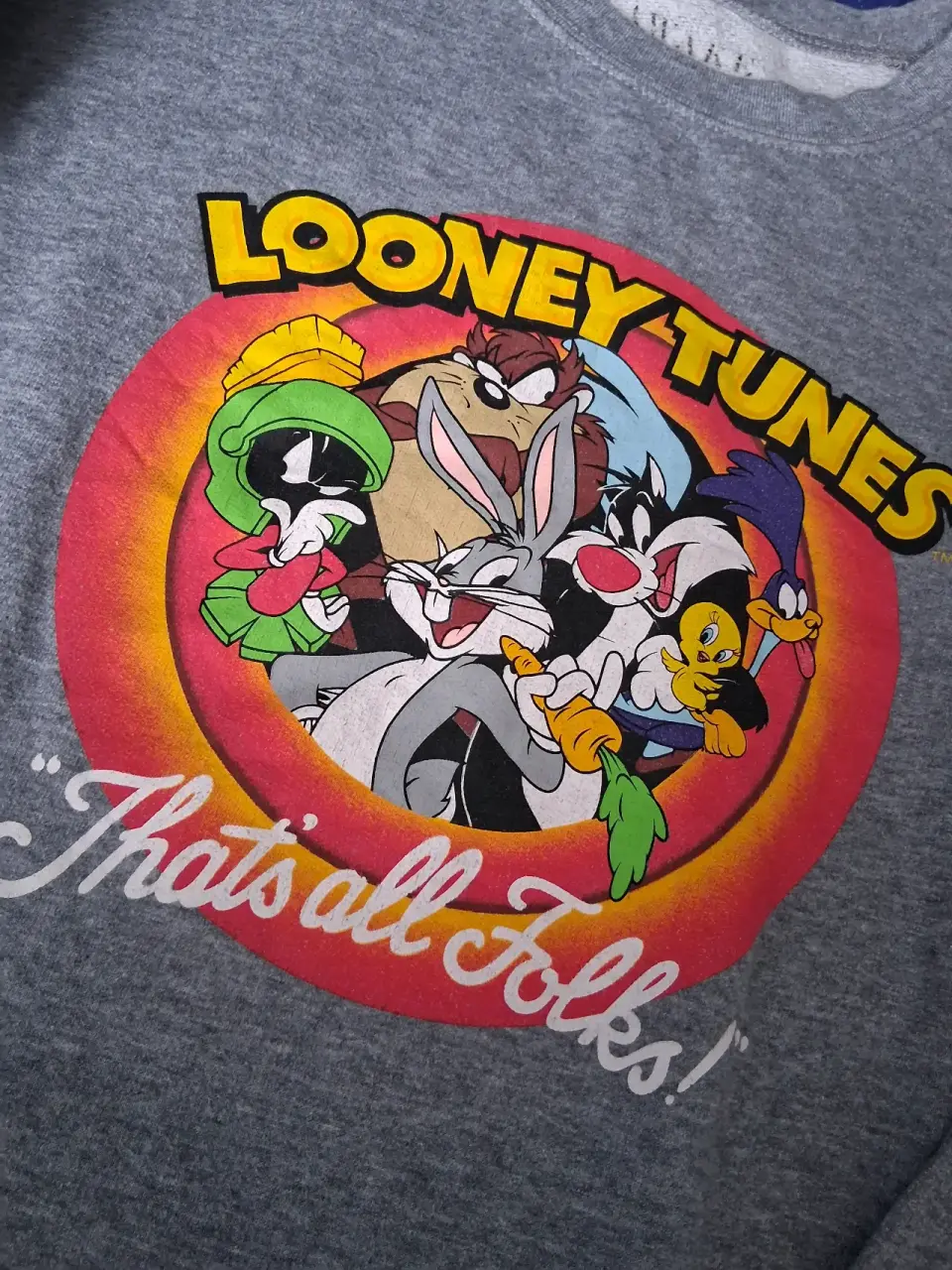 Polerón gris Looney Tunes - miniatura 2
