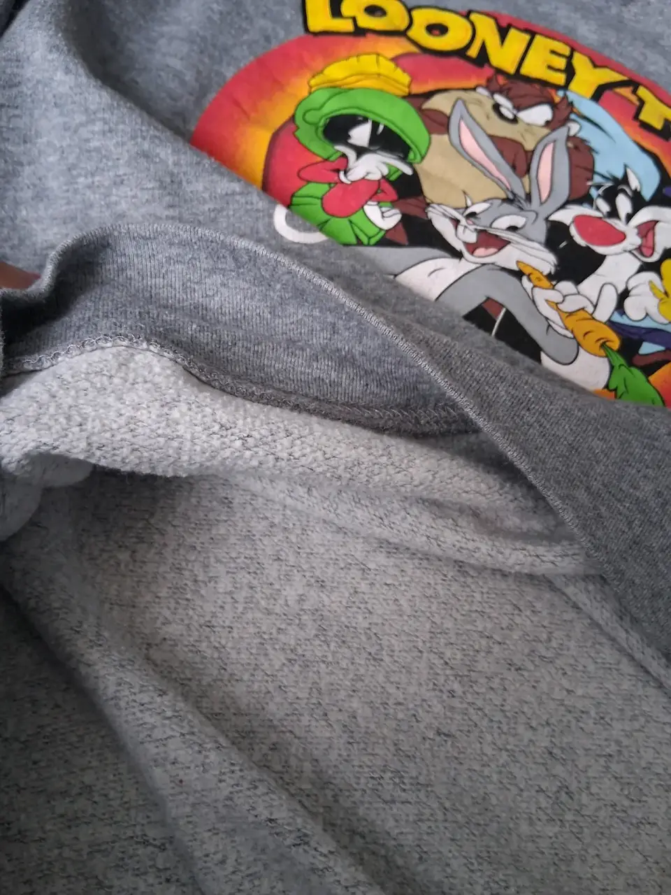 Polerón gris Looney Tunes - miniatura 5