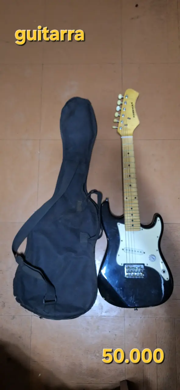 Guitarra eléctrica negra con funda