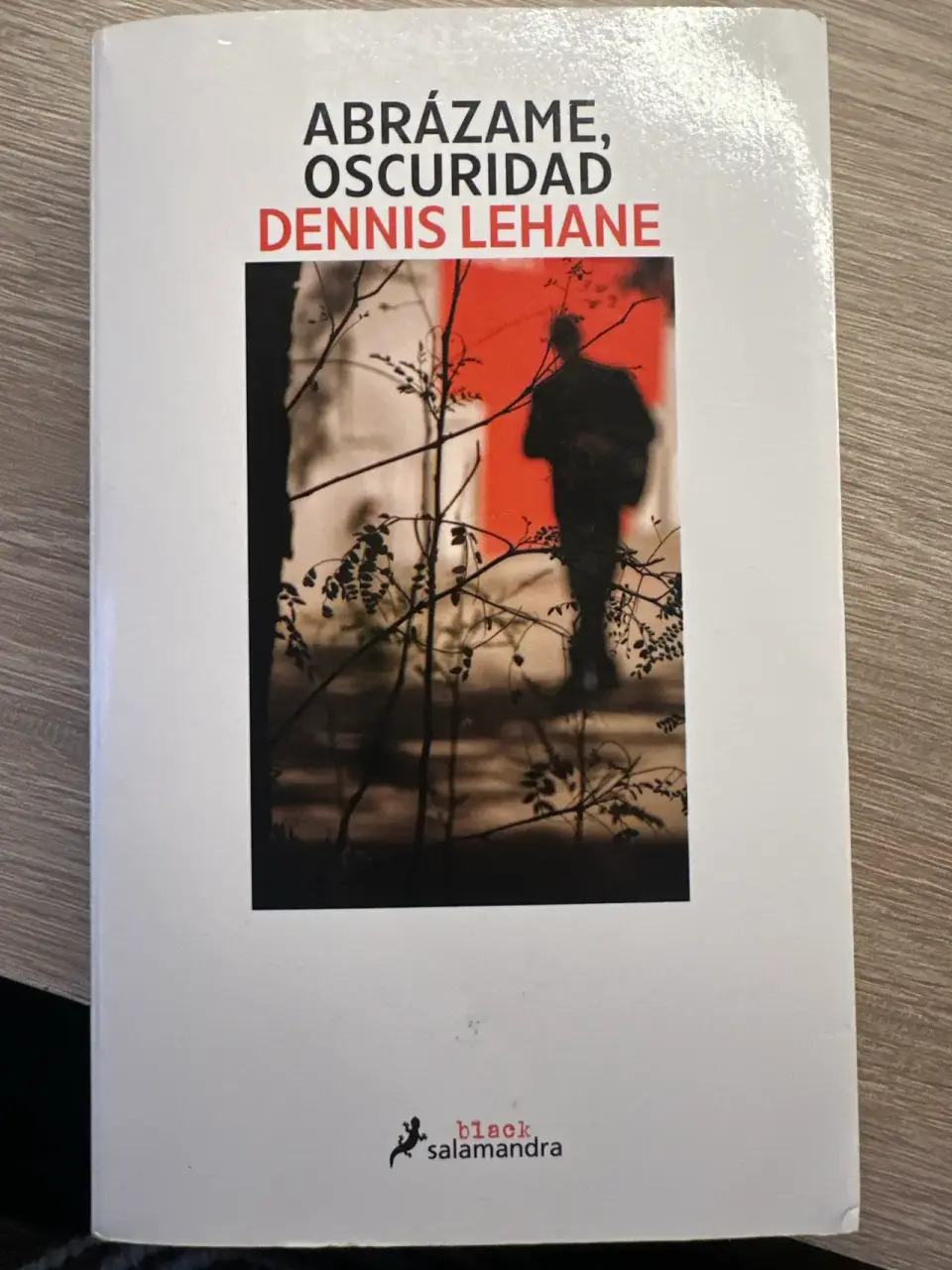 Libro 'Abrázame, oscuridad' de Dennis Lehane - miniatura 1