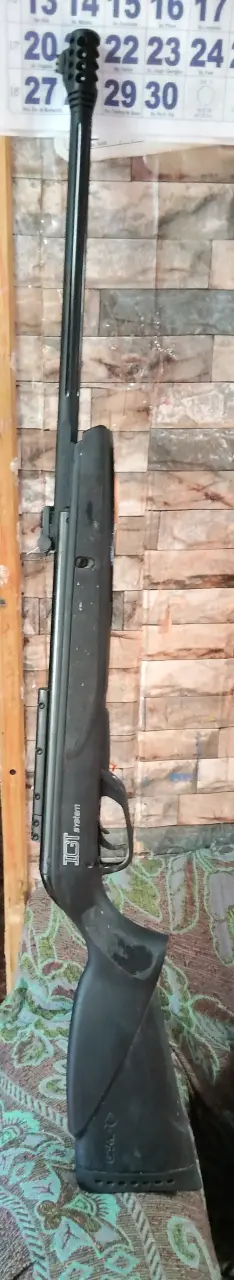 Rifle de aire comprimido Gamo - miniatura 2