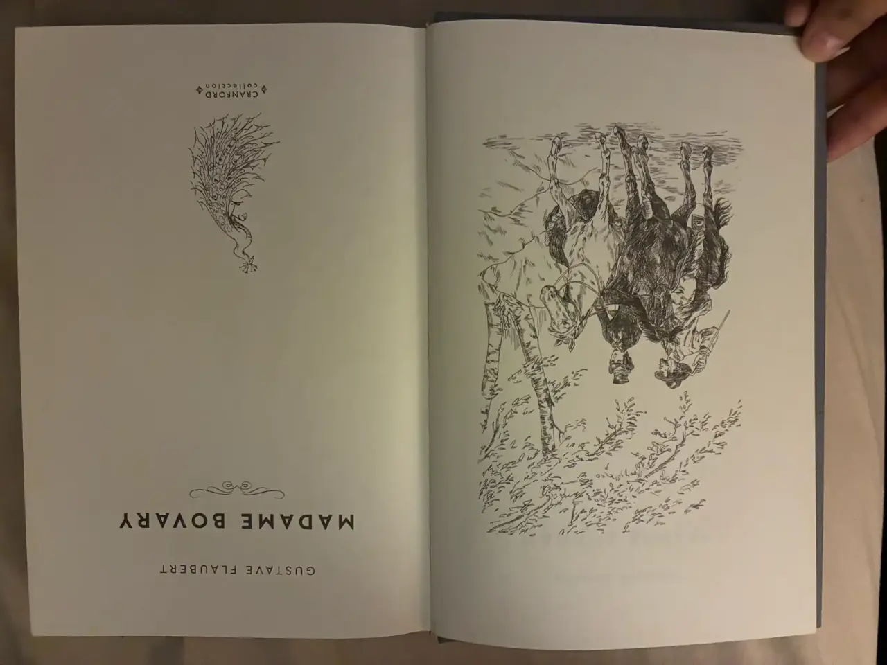 Libro Madame Bovary edición especial - miniatura 2
